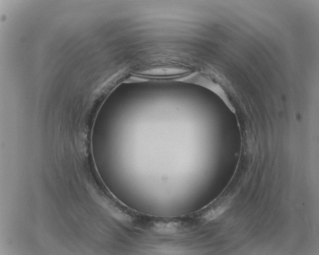 X0000065960450200603172028