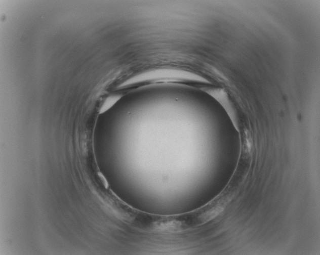 X0000065960452200603172029