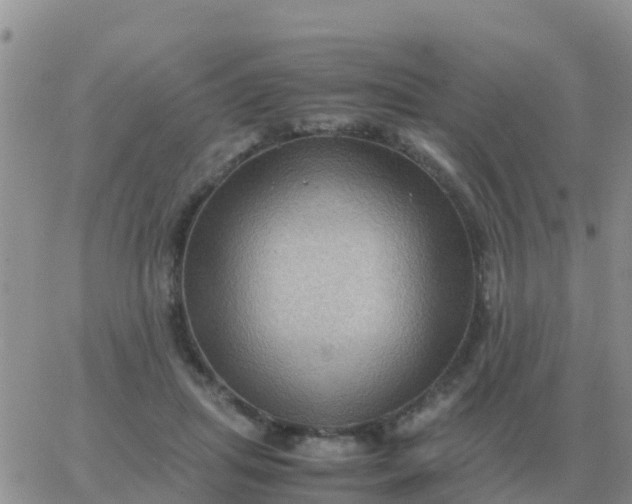 X0000065960455200603172029