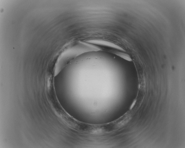 X0000065960456200603172029