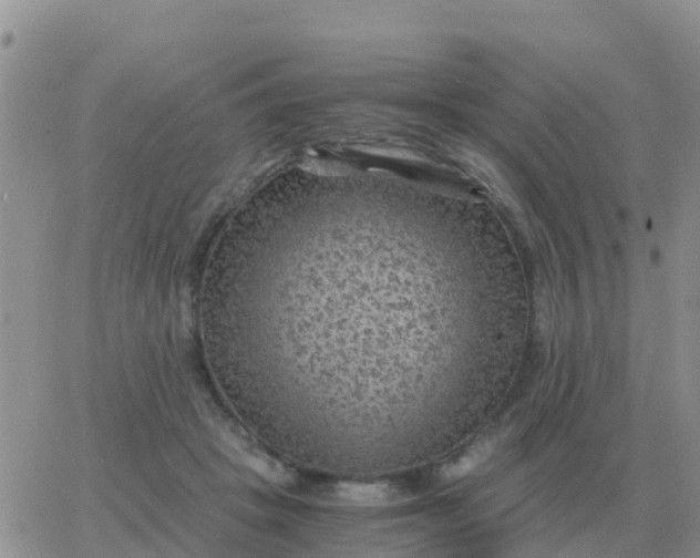 X0000065960457200603172029