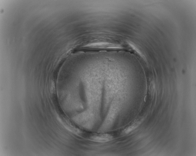 X0000065960459200603172029