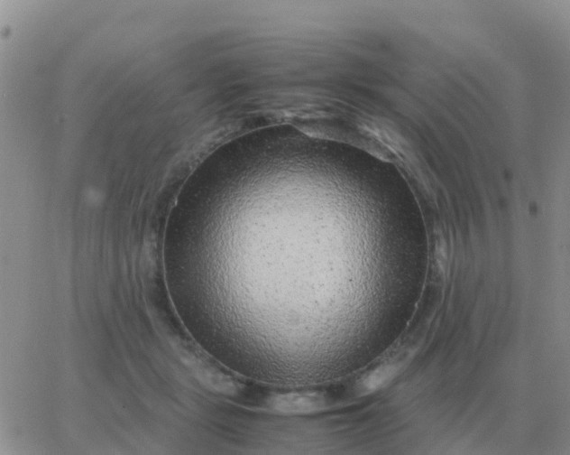 X0000065960461200603172029