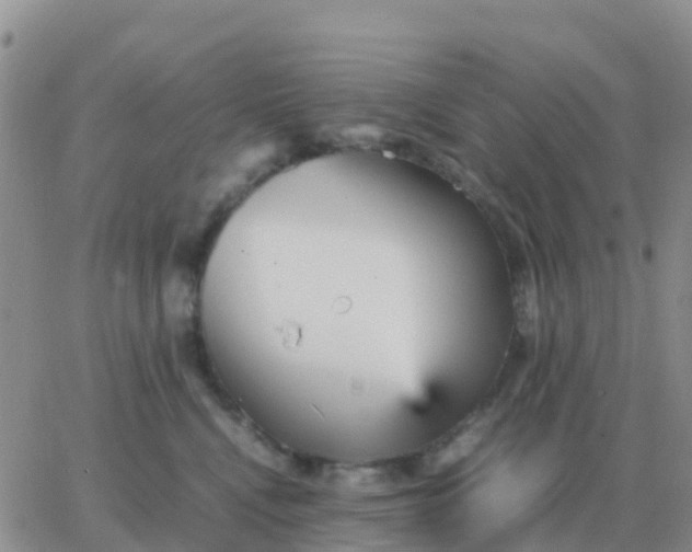 X0000065960472200603172029