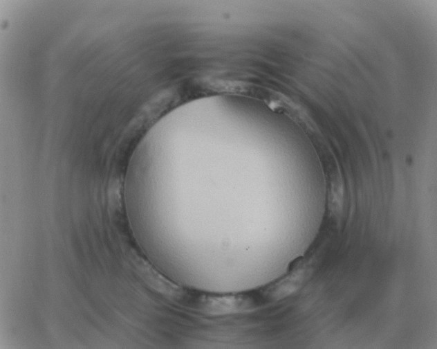 X0000065960473200603172029