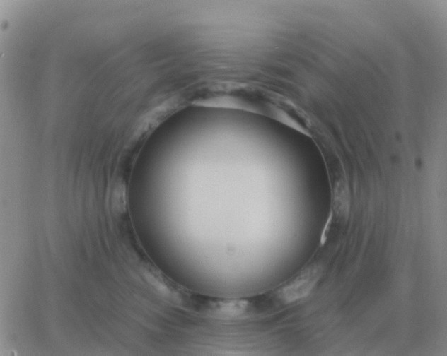 X0000065960474200603172029