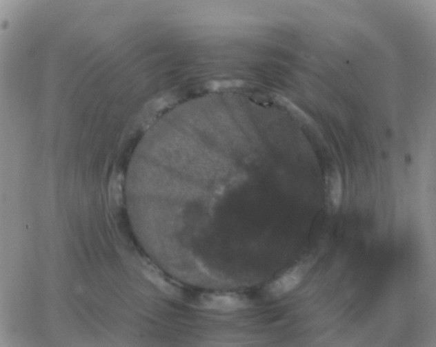 X0000065960475200603172029