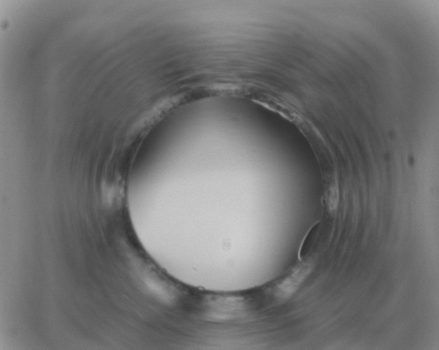 X0000065960476200603172029