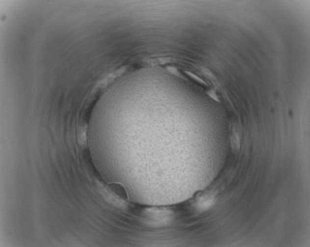 X0000065960477200603172029