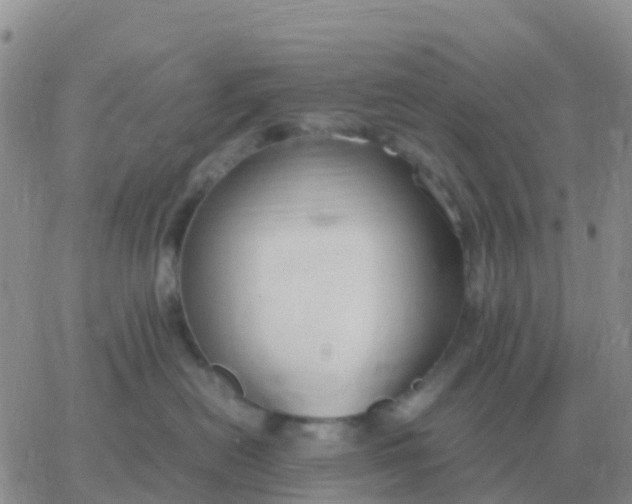 X0000065960478200603172029