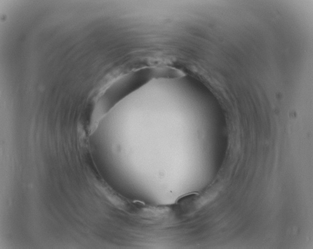 X0000065960480200603172029