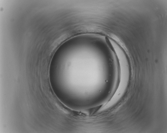 X0000065960481200603172028