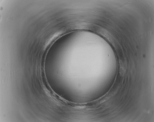 X0000065960482200603172028