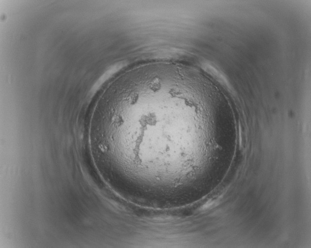 X0000065960483200603172028