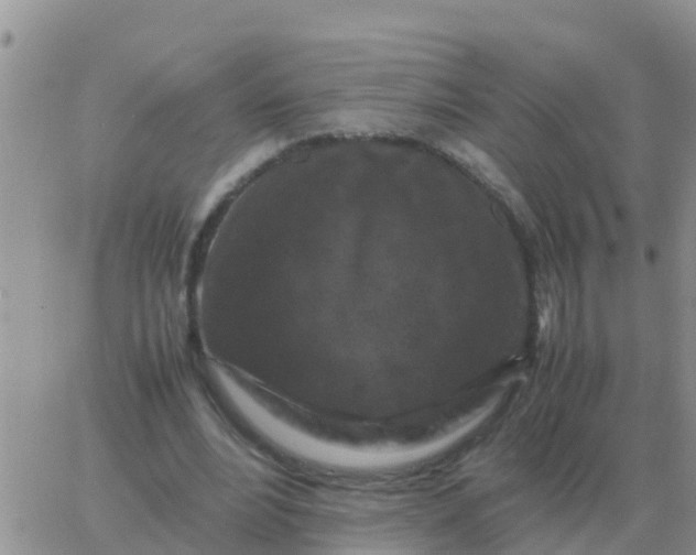 X0000065960488200603172028