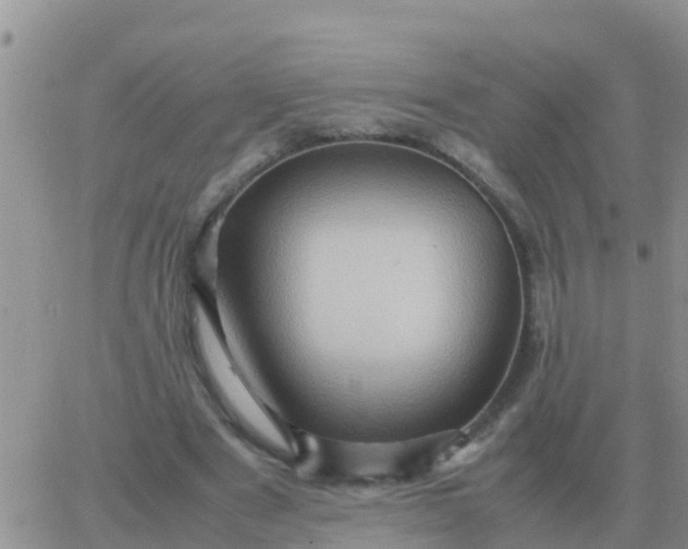 X0000065960489200603172028