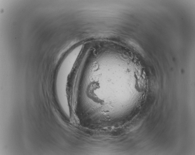 X0000065960491200603172028