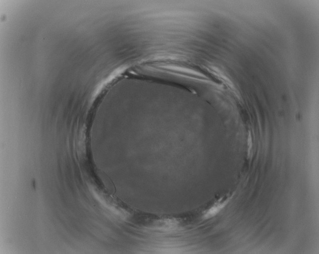 X0000065960492200603172028