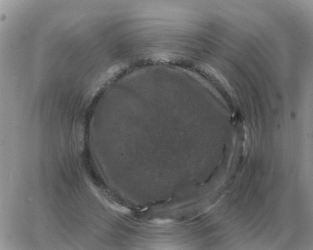 X0000065960496200603172028