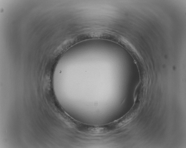 X0000065960497200603172028