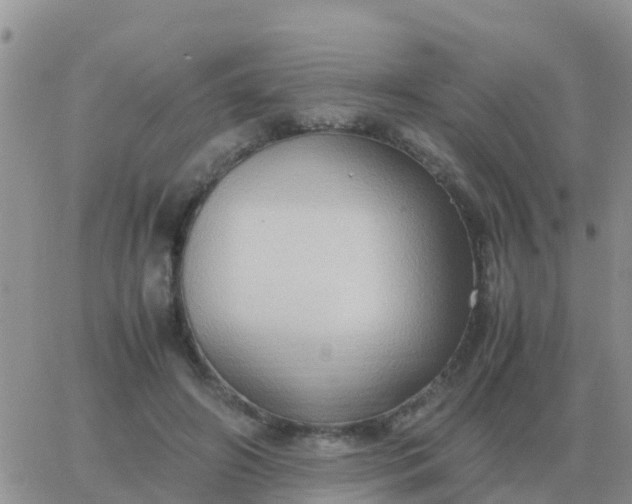 X0000065960498200603172028