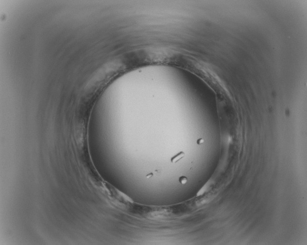 X0000065960505200603172028