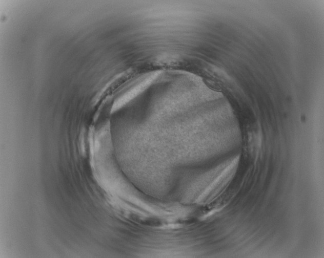 X0000065960508200603172028