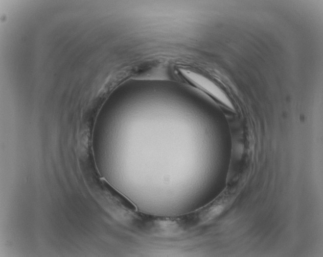 X0000065960509200603172028