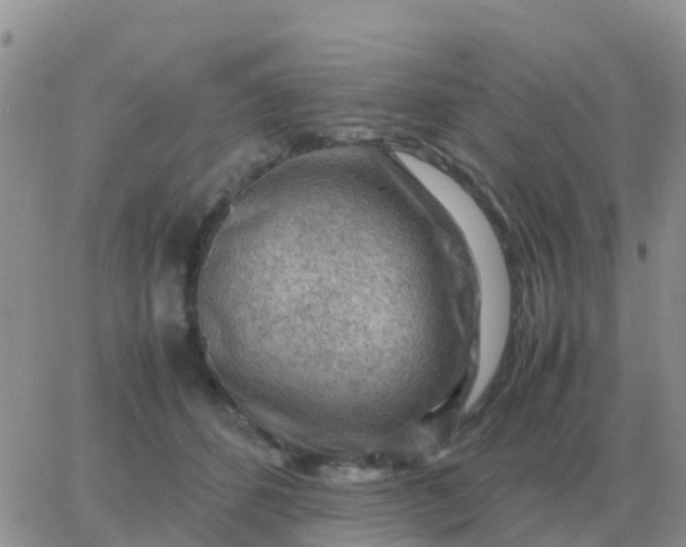 X0000065960512200603172028