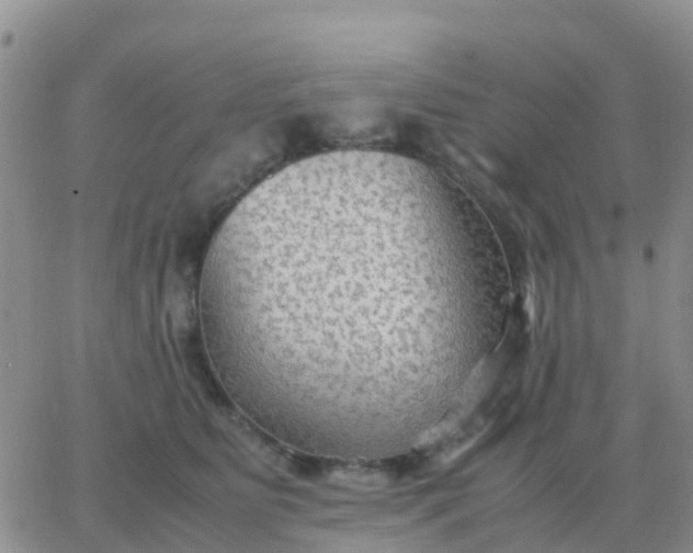 X0000065960515200603172028