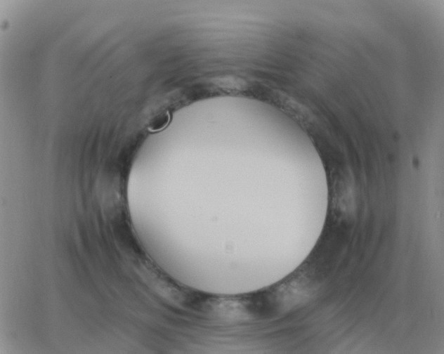 X0000065960518200603172028