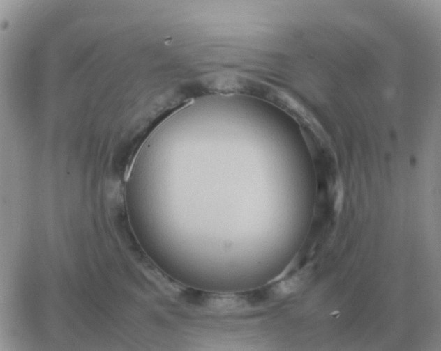 X0000065960521200603172028