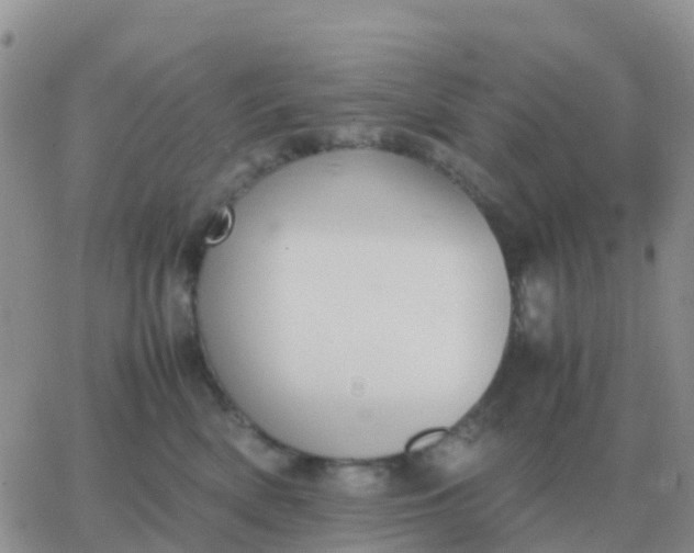 X0000065960522200603172028