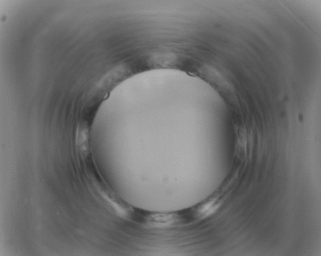 X0000065960526200603172027