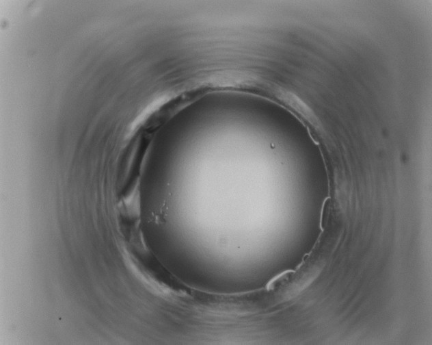 X0000065960530200603172027