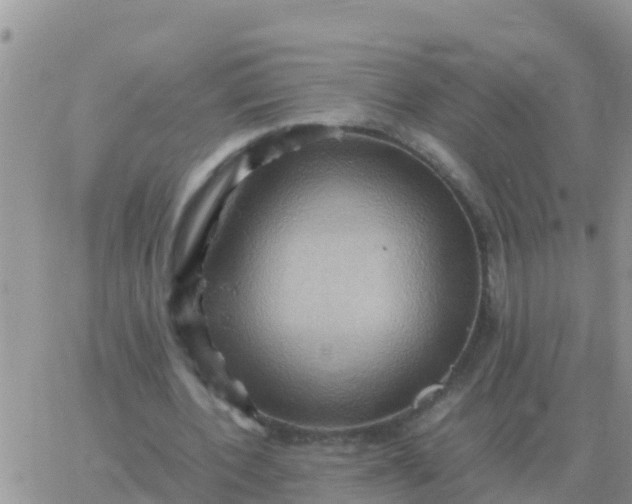 X0000065960532200603172027