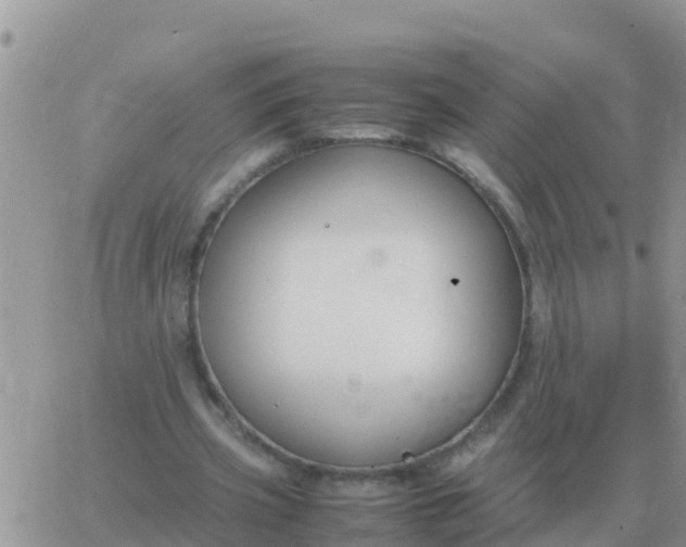 X0000065960533200603172027