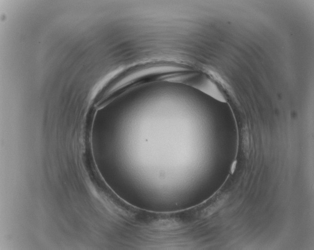 X0000065960536200603172027