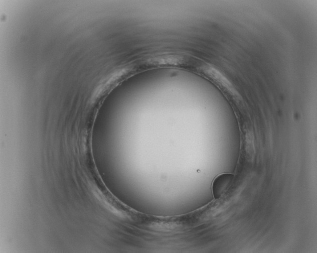 X0000065960537200603172027