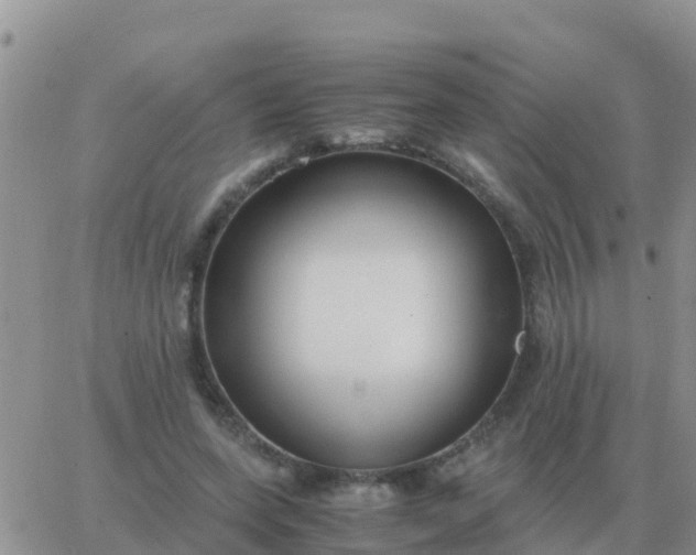 X0000065960543200603172027