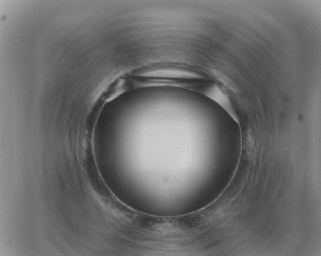 X0000065960544200603172027