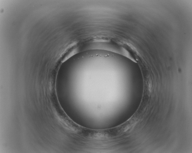 X0000065960546200603172027