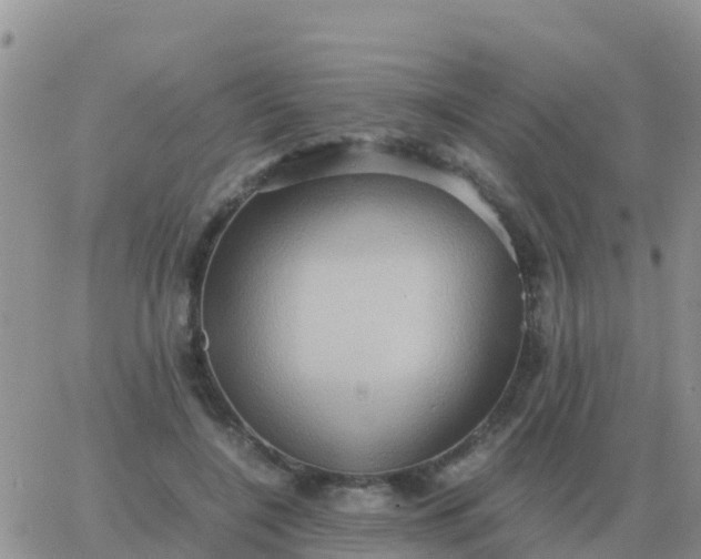 X0000065960548200603172027