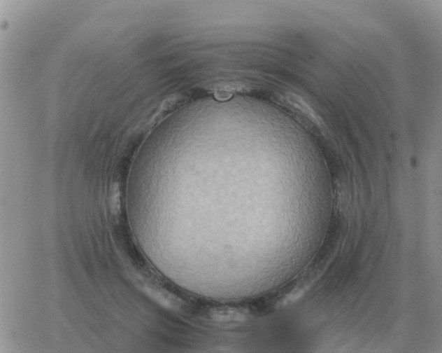 X0000065960549200603172027