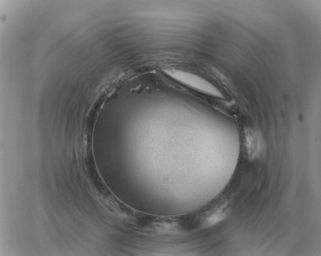 X0000065960552200603172027