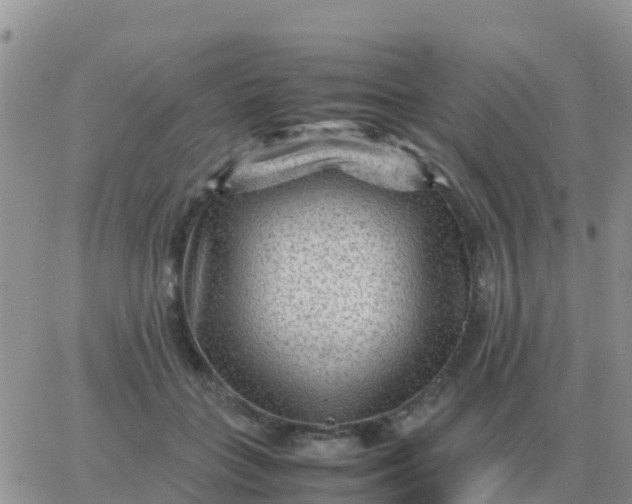 X0000065960555200603172027