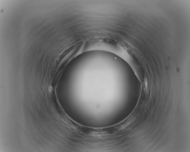 X0000065960556200603172027