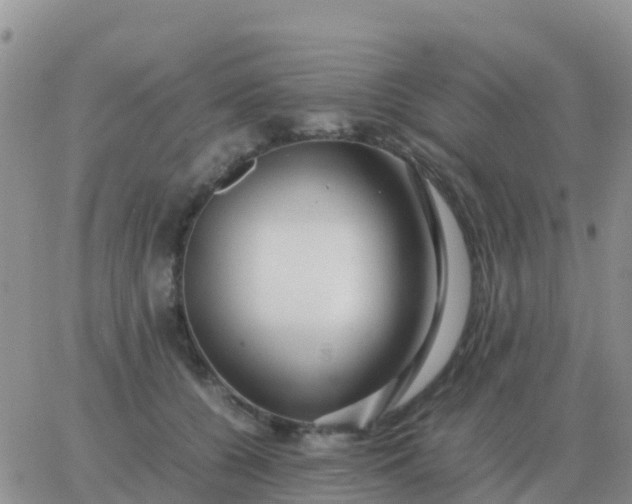 X0000065960560200603172027