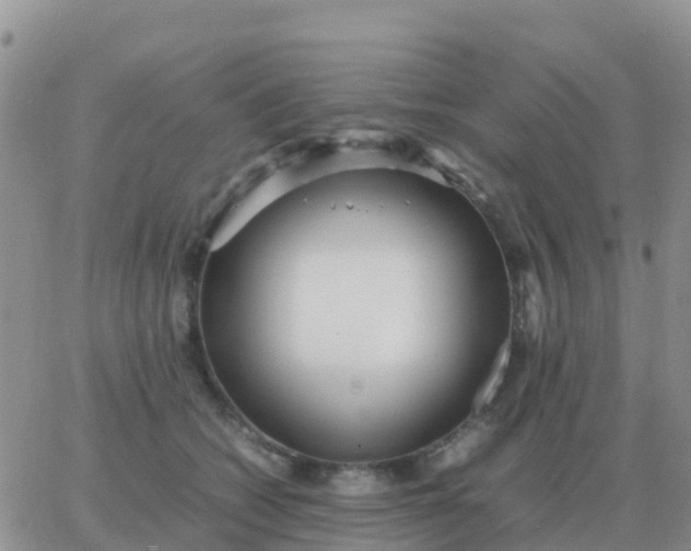 X0000065960562200603172027