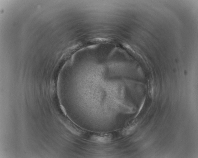 X0000065960563200603172027